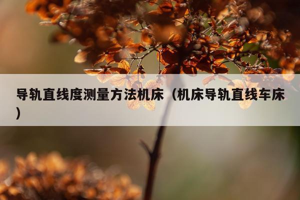 导轨直线度测量方法机床（机床导轨直线车床）