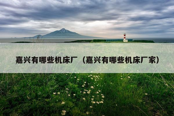 嘉兴有哪些机床厂（嘉兴有哪些机床厂家）