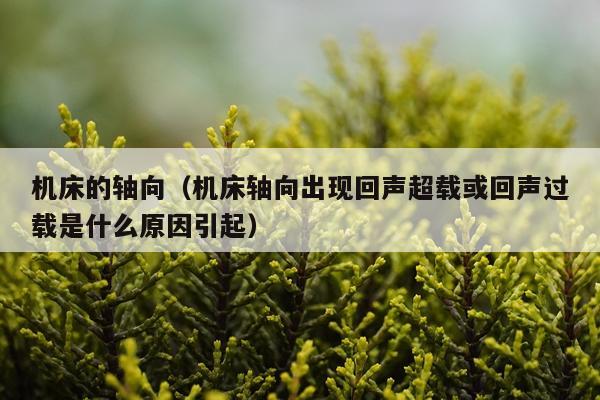 机床的轴向（机床轴向出现回声超载或回声过载是什么原因引起）