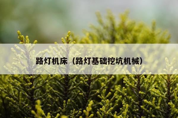 路灯机床（路灯基础挖坑机械）
