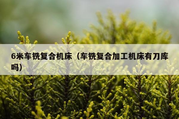 6米车铣复合机床（车铣复合加工机床有刀库吗）