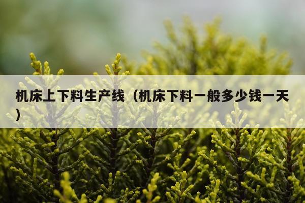 机床上下料生产线（机床下料一般多少钱一天）