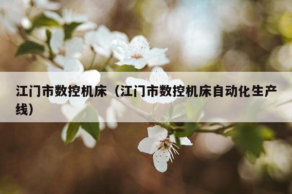 江门市数控机床（江门市数控机床自动化生产线）