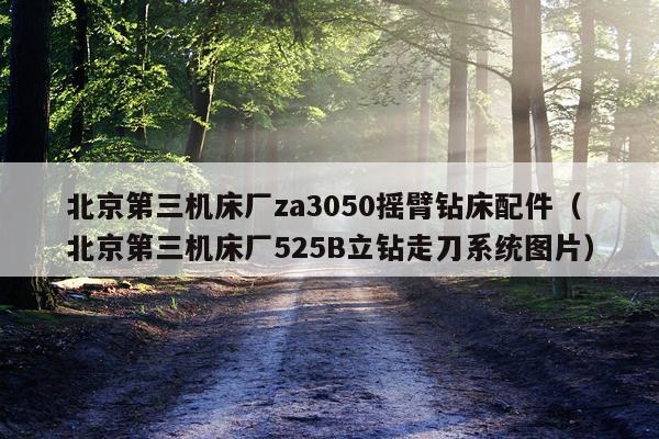 北京第三机床厂za3050摇臂钻床配件（北京第三机床厂525B立钻走刀系统图片）