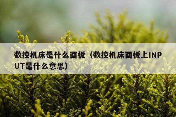 数控机床是什么面板（数控机床面板上INPUT是什么意思）