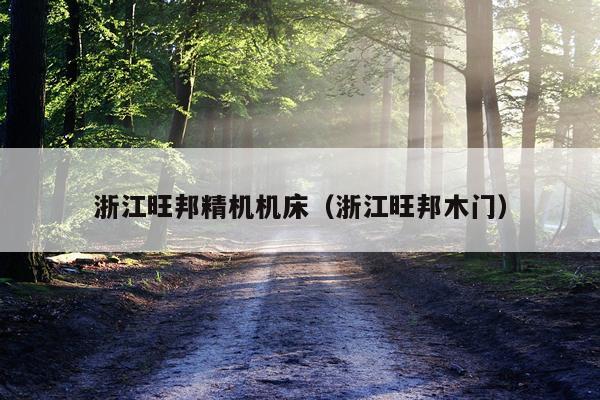 浙江旺邦精机机床（浙江旺邦木门）