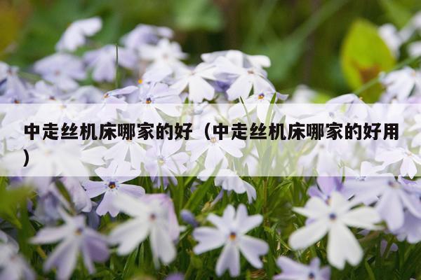 中走丝机床哪家的好（中走丝机床哪家的好用）
