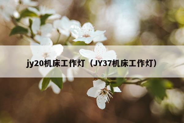 jy20机床工作灯（JY37机床工作灯）