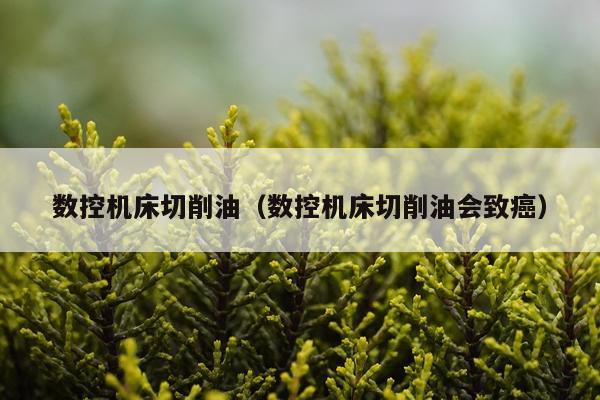 数控机床切削油（数控机床切削油会致癌）