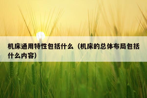 机床通用特性包括什么（机床的总体布局包括什么内容）