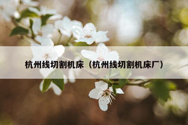 杭州线切割机床（杭州线切割机床厂）
