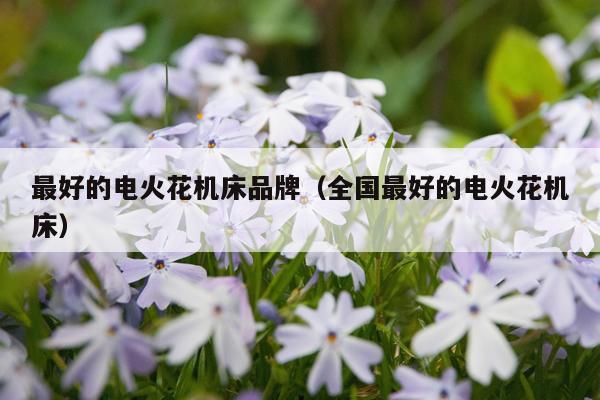 最好的电火花机床品牌（全国最好的电火花机床）