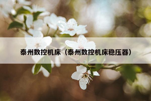 泰州数控机床（泰州数控机床稳压器）