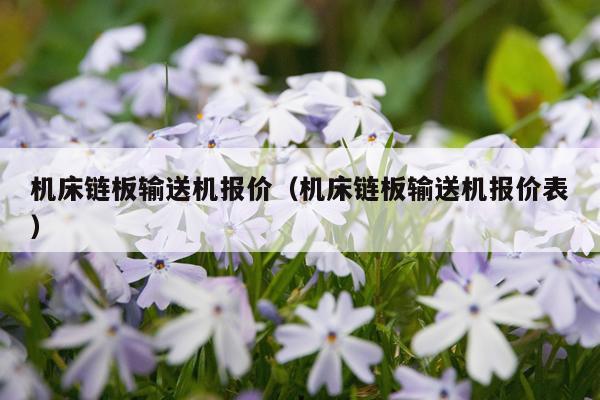机床链板输送机报价（机床链板输送机报价表）