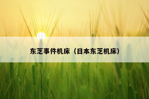 东芝事件机床（日本东芝机床）