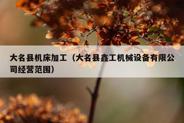 大名县机床加工（大名县鑫工机械设备有限公司经营范围）