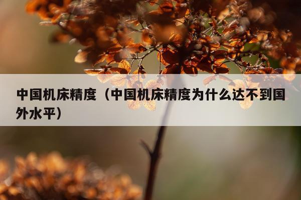 中国机床精度（中国机床精度为什么达不到国外水平）