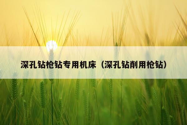 深孔钻枪钻专用机床（深孔钻削用枪钻）