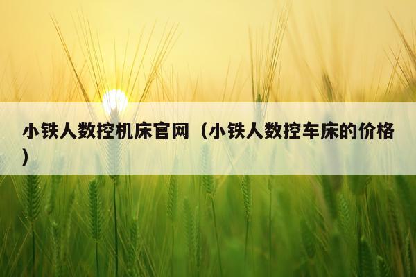 小铁人数控机床官网（小铁人数控车床的价格）
