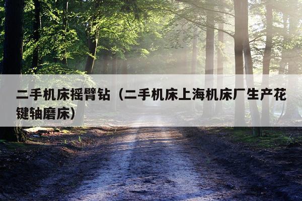 二手机床摇臂钻（二手机床上海机床厂生产花键轴磨床）