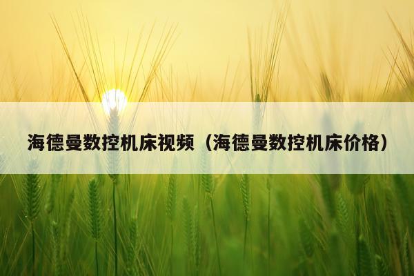 海德曼数控机床视频（海德曼数控机床价格）