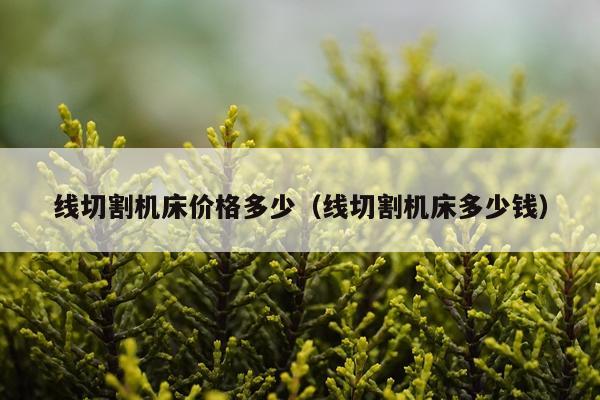 线切割机床价格多少(线切割机床多少钱)