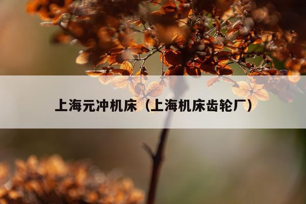 上海元冲机床(上海机床齿轮厂)
