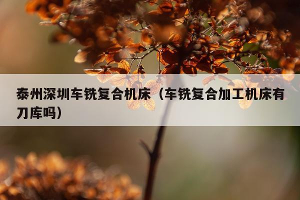 泰州深圳车铣复合机床(车铣复合加工机床有刀库吗)