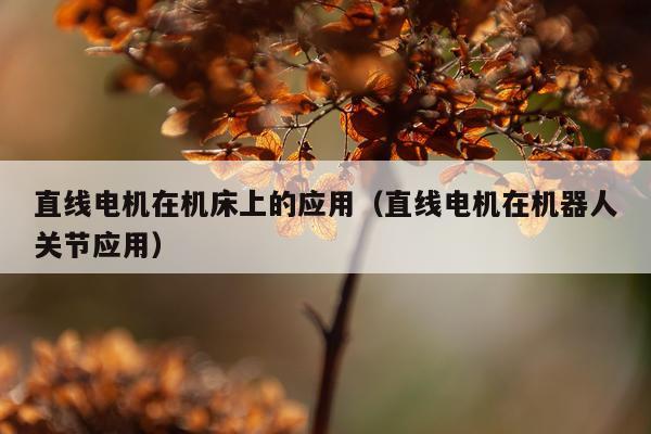 直线电机在机床上的应用(直线电机在机器人关节应用)
